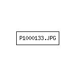 P1000133.JPG
